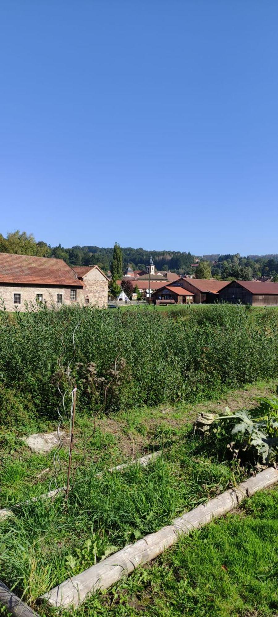 La Fontaine Aux Enfants - Gr5 - Chambre Avec Sdb Privee Abreschviller Bagian luar foto